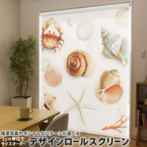 1cmPʃTCYI[_[ [XN[ [J[e I[_[Ch ^`J { Ԏd؂ J[e ̌ Ռ ډB UVJbg J[e[ `F[ v 009662 Lk@C