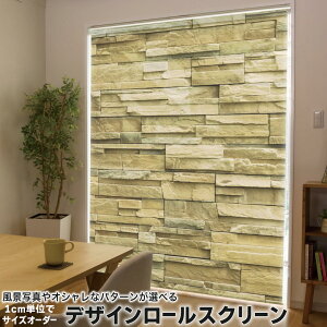 1cmPʃTCYI[_[ [XN[ [J[e I[_[Ch ^`J { Ԏd؂ J[e ̌ Ռ ډB UVJbg J[e[ `F[ v 009669 ǎ@