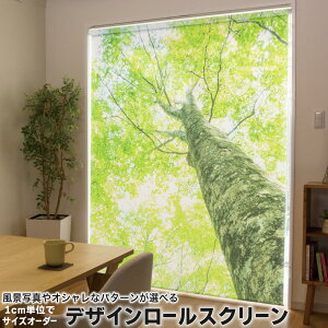 1cmPʃTCYI[_[ [XN[ [J[e I[_[Ch ^`J { Ԏd؂ J[e ̌ Ռ ډB UVJbg J[e[ `F[ v 009755 A@