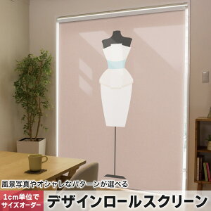 1cm単位サイズオーダー ロールスクリーン ロールカーテン オーダーメイド タチカワ 日本製 間仕切り カーテン 採光 非遮光 目隠し UVカット カーテンレール チェーン式 プル式 010118 おしゃれ