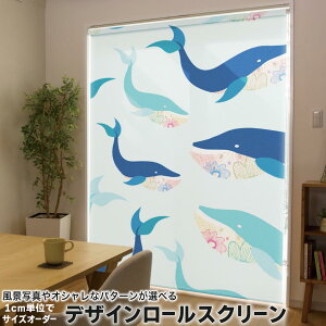 1cmPʃTCYI[_[ [XN[ [J[e I[_[Ch ^`J { Ԏd؂ J[e ̌ Ռ ډB UVJbg J[e[ `F[ v 010550 @