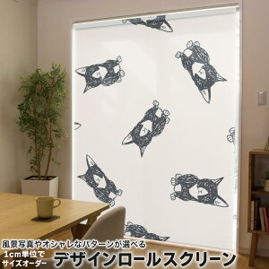 1cmPʃTCYI[_[ [XN[ [J[e I[_[Ch ^`J { Ԏd؂ J[e ̌ Ռ ډB UVJbg J[e[ `F[ v 010692 L@