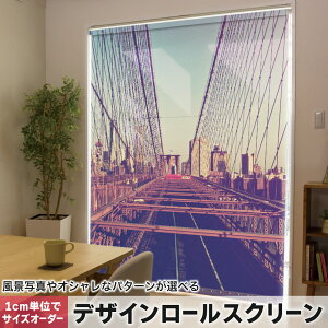 1cmPʃTCYI[_[ [XN[ [J[e I[_[Ch ^`J { Ԏd؂ J[e ̌ Ռ ډB UVJbg J[e[ `F[ v 010767 i@