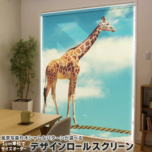 1cmPʃTCYI[_[ [XN[ [J[e I[_[Ch ^`J { Ԏd؂ J[e ̌ Ռ ډB UVJbg J[e[ `F[ v 011010 @