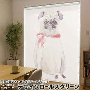 1cmPʃTCYI[_[ [XN[ [J[e I[_[Ch ^`J { Ԏd؂ J[e ̌ Ռ ډB UVJbg J[e[ `F[ v 011407 @