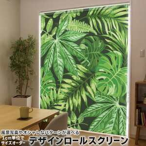 1cmPʃTCYI[_[ [XN[ [J[e I[_[Ch ^`J { Ԏd؂ J[e ̌ Ռ ډB UVJbg J[e[ `F[ v 012097 A@