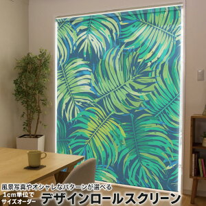 1cmPʃTCYI[_[ [XN[ [J[e I[_[Ch ^`J { Ԏd؂ J[e ̌ Ռ ډB UVJbg J[e[ `F[ v 012104 A@