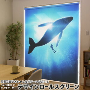 1cmPʃTCYI[_[ [XN[ [J[e I[_[Ch ^`J { Ԏd؂ J[e ̌ Ռ ډB UVJbg J[e[ `F[ v 012663 NW@