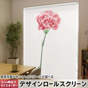 1cmPʃTCYI[_[ [XN[ [J[e I[_[Ch ^`J { Ԏd؂ J[e ̌ Ռ ډB UVJbg J[e[ `F[ v 012937 ̓@