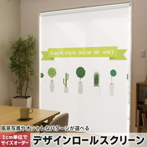 1cmPʃTCYI[_[ [XN[ [J[e I[_[Ch ^`J { Ԏd؂ J[e ̌ Ռ ډB UVJbg J[e[ `F[ v 013371 A@