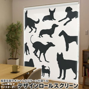 1cmPʃTCYI[_[ [XN[ [J[e I[_[Ch ^`J { Ԏd؂ J[e ̌ Ռ ډB UVJbg J[e[ `F[ v 013528 @V