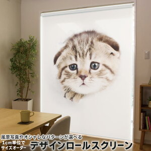 1cmPʃTCYI[_[ [XN[ [J[e I[_[Ch ^`J { Ԏd؂ J[e ̌ Ռ ډB UVJbg J[e[ `F[ v 013568 L@ʐ^