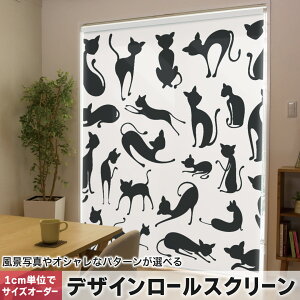 1cmPʃTCYI[_[ [XN[ [J[e I[_[Ch ^`J { Ԏd؂ J[e ̌ Ռ ډB UVJbg J[e[ `F[ v 014099 L@