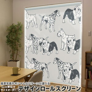 1cmPʃTCYI[_[ [XN[ [J[e I[_[Ch ^`J { Ԏd؂ J[e ̌ Ռ ډB UVJbg J[e[ `F[ v 014615 @