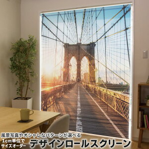 1cmPʃTCYI[_[ [XN[ [J[e I[_[Ch ^`J { Ԏd؂ J[e ̌ Ռ ډB UVJbg J[e[ `F[ v 014736 @i