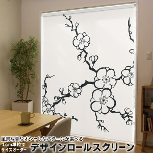 1cmPʃTCYI[_[ [XN[ [J[e I[_[Ch ^`J { Ԏd؂ J[e ̌ Ռ ډB UVJbg J[e[ `F[ v 014873 @