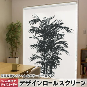 1cm�P�ʃT�C�Y�I�[�_�[ ���[���X�N���[�� ���[���J�[�e�� �I�[�_�[���C�h �^�`�J�� ���{�� �Ԏd�؂� �J�[�e�� �̌� ��Ռ� �ډB�� UV�J�b�g �J�[�e�����[�� �`�F�[���� �v���� 015627 �؁@���R