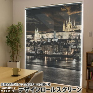 1cmPʃTCYI[_[ [XN[ [J[e I[_[Ch ^`J { Ԏd؂ J[e ̌ Ռ ډB UVJbg J[e[ `F[ v 018314 i A[