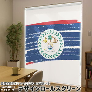 1cmPʃTCYI[_[ [XN[ [J[e I[_[Ch ^`J { Ԏd؂ J[e ̌ Ռ ډB UVJbg J[e[ `F[ v 018398  belize