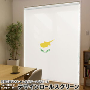 1cm�P�ʃT�C�Y�I�[�_�[ ���[���X�N���[�� ���[���J�[�e�� �I�[�_�[���C�h �^�`�J�� ���{�� �Ԏd�؂� �J�[�e�� �̌� ��Ռ� �ډB�� UV�J�b�g �J�[�e�����[�� �`�F�[���� �v���� 018808 ���� cyprus