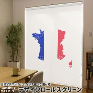 1cmPʃTCYI[_[ [XN[ [J[e I[_[Ch ^`J { Ԏd؂ J[e ̌ Ռ ډB UVJbg J[e[ `F[ v 018828  france