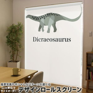 1cmPʃTCYI[_[ [XN[ [J[e I[_[Ch ^`J { Ԏd؂ J[e ̌ Ռ ډB UVJbg J[e[ `F[ v 019782  