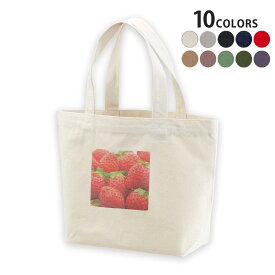 選べる10カラー＆サイズ デザイントートバッグ Ssize Msize Lsize Wsize キャンバス デイパック バッグ エコバッグ 000149 苺　いちご　赤　果物