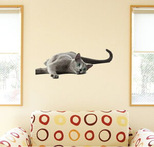 3sizeIׂIV[EH[XebJ[@ Aj} L ˂ ybg ʐ^ 킢    ǎ  DIY v`tH[ p[eB  190×427mm 390×877mm 590×1327mm Ssi