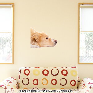 犬 壁紙 おしゃれの人気商品 通販 価格比較 価格 Com