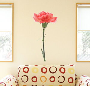 3sizeIׂI̓V[EH[XebJ[@mothers day ꂳ }} e j J[l[V  Vv    ǎ  DIY v`tH[ p[eB 