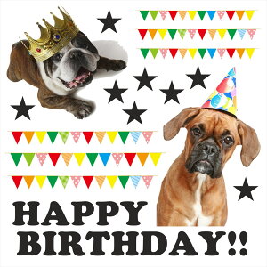 a V[EH[XebJ[@a EH[XebJ[  90×90cm V[ P[L K[h K[g o[Xf[p[eB D o[ ǎ ͂  