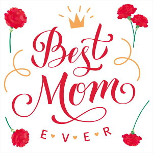 ̓ V[EH[XebJ[ EH[XebJ[  90×90cm ǎ mothers day J[l[V  v[g JbeBOV[g wall sticker G DIY 015890