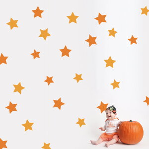 3sizeIׂInEB V[ EH[XebJ[ halloween nEB[ ڂ ΂ ^ p[eB   킢  l trick or treat  킢 016603 EH[