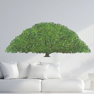 3sizeIׂIt̉ԁV[EH[XebJ[ spring  w   190×427mm 390×877mm 590×1327mm Ssize Msize Lsize 傫 ؁@035929