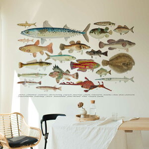 3sizeIׂI ނEV[EH[XebJ[ 190×427mm 390×877mm 590×1328mm Ssize Msize Lsize 590×1327mm  JbeBOV[g wall sticker G ނ  Cނ 036517