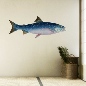 3sizeIׂI ނEV[EH[XebJ[ 190×427mm 390×877mm 590×1328mm Ssize Msize Lsize 590×1327mm  JbeBOV[g wall sticker G ނ  Cނ 036519