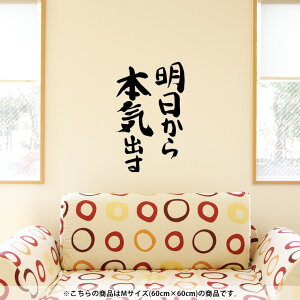 EH[XebJ[  60×60cm V[   ǎ ͂  JbeBOV[g wall sticker G DIY v`tH[ p[eB[ Cxg  002332 {Ea @