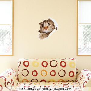 EH[XebJ[  60×60cm V[   ǎ ͂  JbeBOV[g wall sticker G DIY v`tH[ p[eB[ Cxg  002783 Aj} L@@
