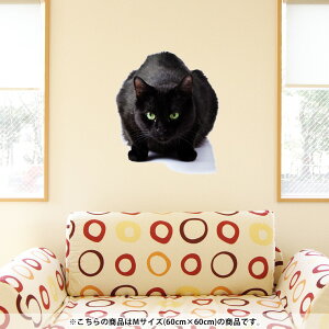 EH[XebJ[  60×60cm V[   ǎ ͂  JbeBOV[g wall sticker G DIY v`tH[ p[eB[ Cxg  005958 ʐ^Ei Aj} 