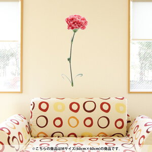�E�H�[���X�e�b�J�[ ���� 60×60cm �V�[���� ���� ������� �ǎ� �͂����� �������� �J�b�e�B���O�V�[�g wall sticker �G�� DIY �v�`���t�H�[�� �p�[�e�B�[ �C�x���g ���� 012937 ��̓��@�J�[�l�[�V