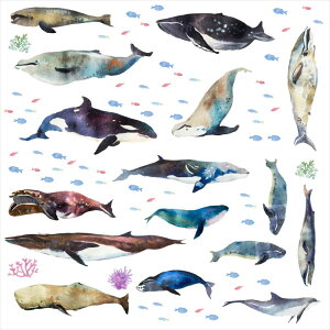 C̐ V[EH[XebJ[  fish sea NW  CJ 邩 ANAE V`  60×60cm  JbeBOV[g wall sticker G 016518