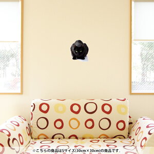 EH[XebJ[  30×30cm V[   ǎ ͂  JbeBOV[g wall sticker G DIY v`tH[ p[eB[ Cxg  005958 ʐ^Ei Aj} 