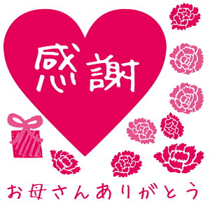 母の日☆ シール式ウォールステッカー ウォールステッカー 飾り 30×30cm 壁紙 mothers day カーネーション 花 プレゼント剥がせる カッティングシート wall sticker 雑貨 DIY 013665 ウォールステッカー