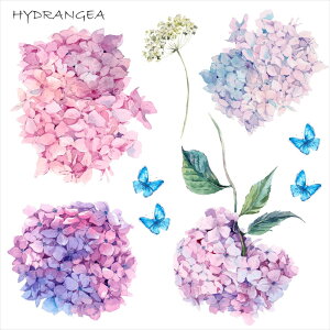 ~J V[EH[XebJ[  30×30cm J rainy day rainy season AWTC z AWTC P J  JbeBOV[g wall sticker G DIY 016349