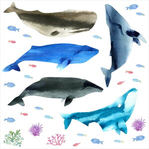 C̐ V[EH[XebJ[  fish sea NW  CJ 邩 ANAE V`  30×30cm  JbeBOV[g wall sticker G 016515