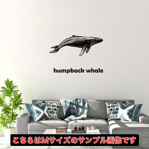 āV[EH[XebJ[ summer ċx Ղ Ђ܂ C z@AEghA Ssize190×427mm V[   EH[XebJ[