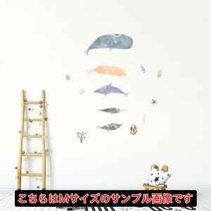 āV[EH[XebJ[ summer ċx Ղ Ђ܂ C z  Ssize 200×450mm 018365  C EH[XebJ[ C̐  NW