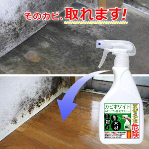 木材 スプレー カビ取り 防カビ剤の人気商品 通販 価格比較 価格 Com