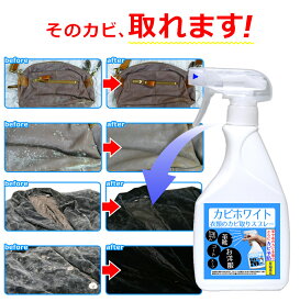 楽天市場 レザー カビ取りの通販