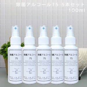 AR[75 { 75x AR[ɓ_vXIZx75xŃECX͏ہIAR[Zx AR[ۃXv[ ۉt lߑւ _ۓ AR[Xv[ Lb`p 